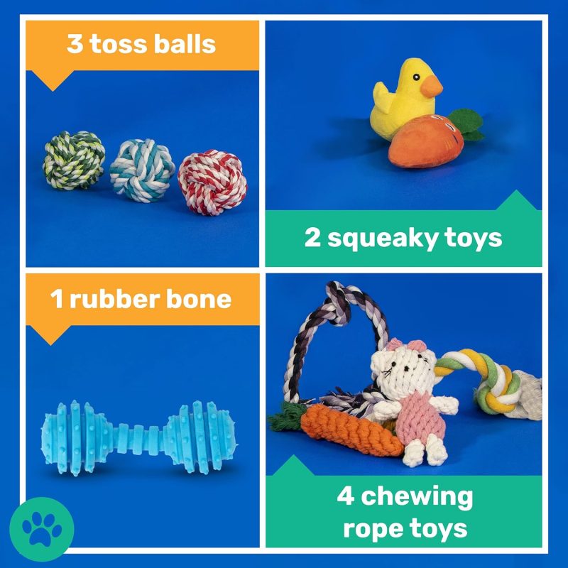 AMZpets 10 Toy Variety Pack