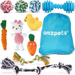 Toys for Puppies & Small Dogs