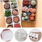 ‎Aeetial Small Flower Pot with Plate - Image 5