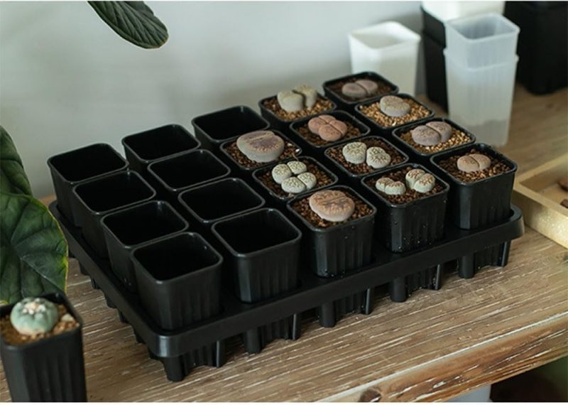 Small Flower Pot with Plate - Decorative Ceramic Planter Set for Indoor Plants - Image 6