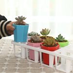 ‎Aeetial Small Flower Pot with Plate - Image 7