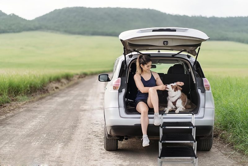 Dog Steps for Car - Portable Folding Pet Ramp with Non-Slip Surface for SUVs, Trucks, and Vehicles - Lightweight & Easy t...