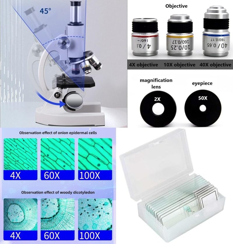 Microscope-200-4000X: High-Power LED Digital Biological Compound Microscope with 5MP Camera, Coaxial Coarse/Fine Focus, and W...