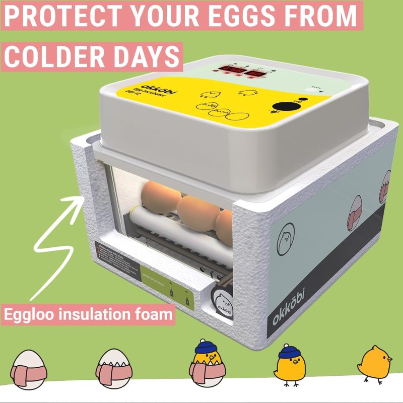 Incubators for Hatching Eggs - 12 Eggs - Ideal All Ages | Egg Incubator with Automatic Egg Turning and Humidity Control - Int...