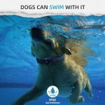 JIARUI GPS Dog Tracker Collar 2 Pack Compatible with Apple Find My - Image 6