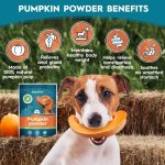 AmeizPet Pumpkin Powder for Dogs Gut Health Fibre Supplement 4 Pack - Image 2
