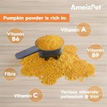 AmeizPet Pumpkin Powder for Dogs Gut Health Fibre Supplement 4 Pack - Image 3