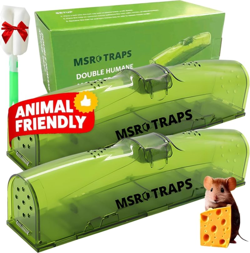 Humane Mouse Traps - XL Size, Dual Doors, Kids & Pet Safe Design | 27% Off