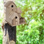 713G7EryYhS._AC_SL1500_ Kuuleyn Outdoor wooden birdhouse - Image 4