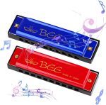 DASHUAIGE Blues Harmonica in C - Image 1