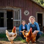 Yiruhe Funny Chicken Gifts Chicken Cluck Around and Find Out Tin Sign - Image 6
