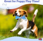 Revolex Durable Chew Toy for Dogs - Image 3