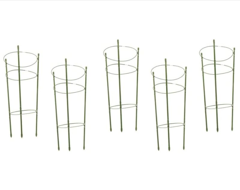 41DxQpHwJkL Plant Support Rings Conical 5 Pack 48/60/75cm Durable Weatherproof