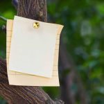 61ZYgnqiyeL._AC_SL1500