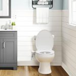 SAMODRA Classic 7.0 Bidet Toilet Seat Attachment Dual Nozzle Non Electric - Image 2