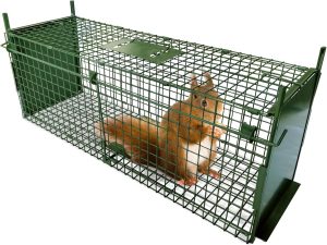 ARIFARO Humane Live Trap Cage - Image 1