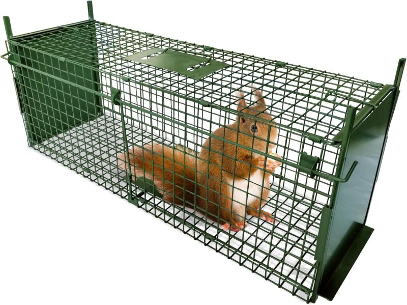 ARIFARO Humane Live Trap Cage - Image 1