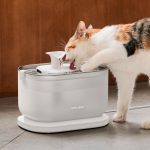 PETKIT Cat Water Fountain 1.85L Automatic Drinking Fountain - Image 3