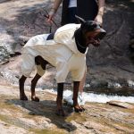 Lovelonglong 4XL Dog Raincoat Full Body Waterproof 4 Leg Suit - Image 5