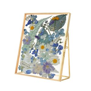 Pressed Flower Frame Double Glass Brass Floating Photo Frame 14x16cm Pressed