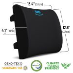 Everlasting Comfort Lumbar Support Cushion Memory Foam - Image 3