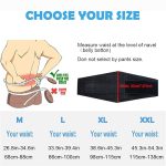 Paskyee Lower Back Support Belt with 6 Stays L(Fits waist 34-39) - Image 5