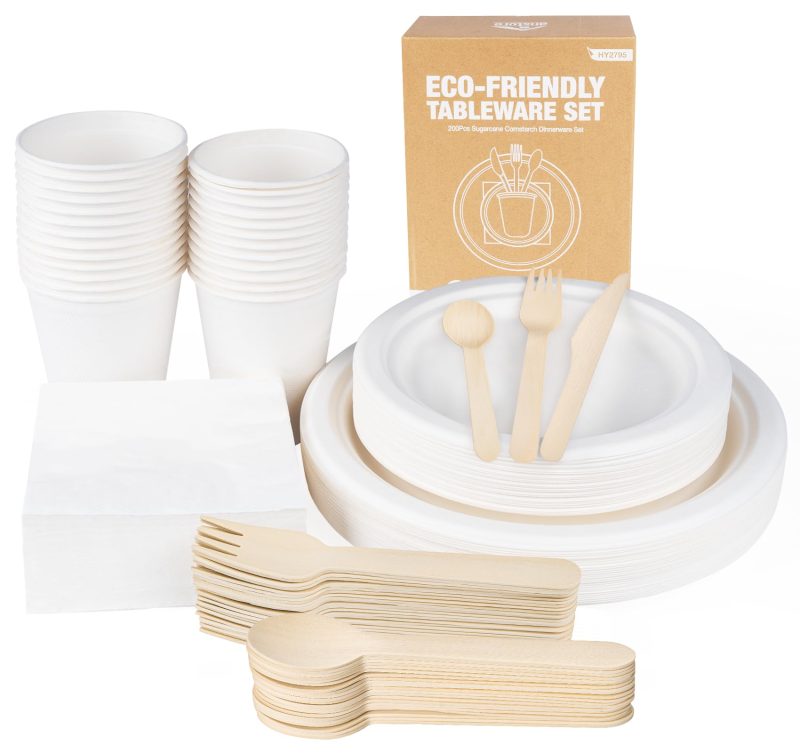 71Pc1OhgjgL Eco Friendly Disposable Plates Cups Wooden Cutlery Set 200pc