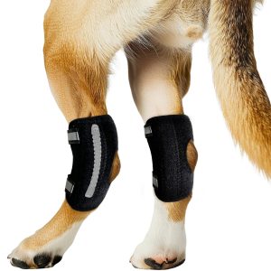 Dog Knee Brace Rear Hind Leg Size: L Torn ACL Support Luxating Patella Hock Pair