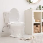 BYRISON Ultra Slim Bidet Toilet Seat Attachment Dual Nozzle Non Electric - Image 9